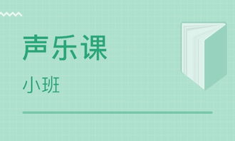 武汉美意之声怎么样 美意之声 课程价格