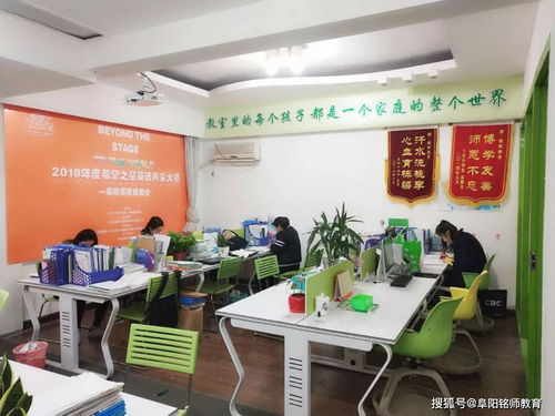 艺考文化课 阜阳铭师教育,成就你的艺考梦