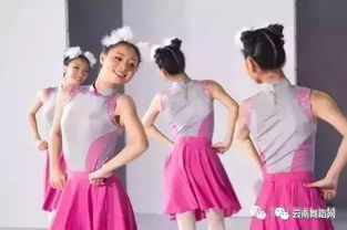 中国少年儿童发展服务中心社会艺术水平舞蹈考级教师新教材培训 普洱班 2019年5月1日至4日预报名