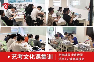 甘孜艺考文化培训就选新学高考