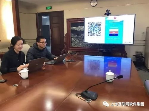 上海互联网软件集团 高端协同管理软件产品和咨询服务提供商