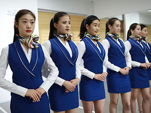 济南艺考模特空乘辅导班 小班 电话咨询 费用 黑蜻蜓